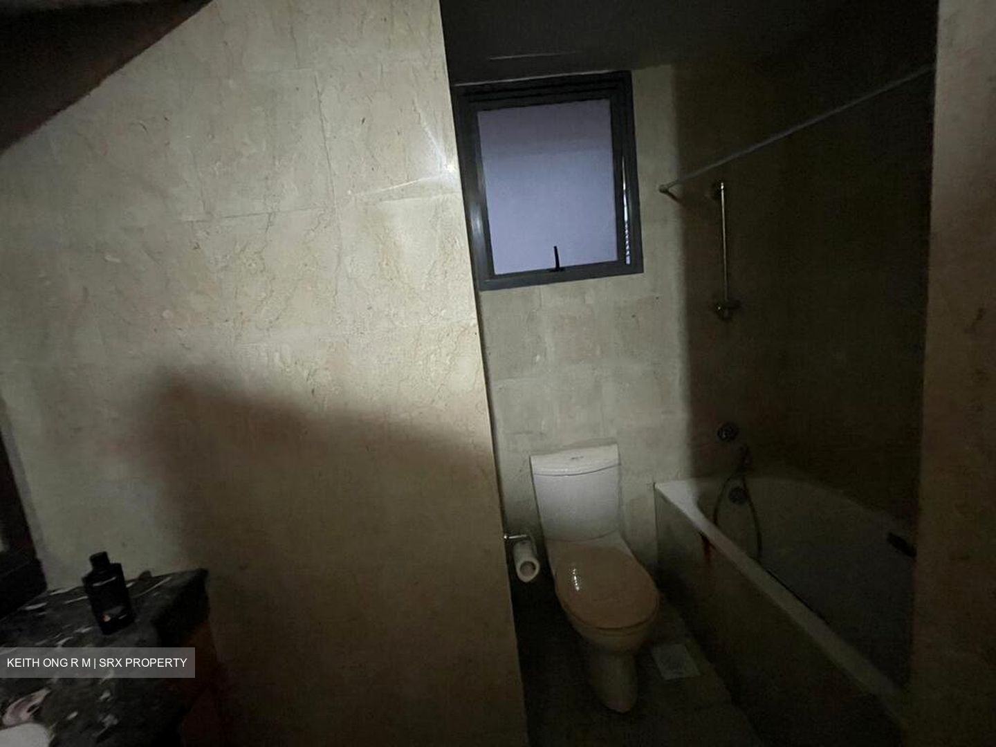 Carissa Park Condominium (D17), Condominium #518705341